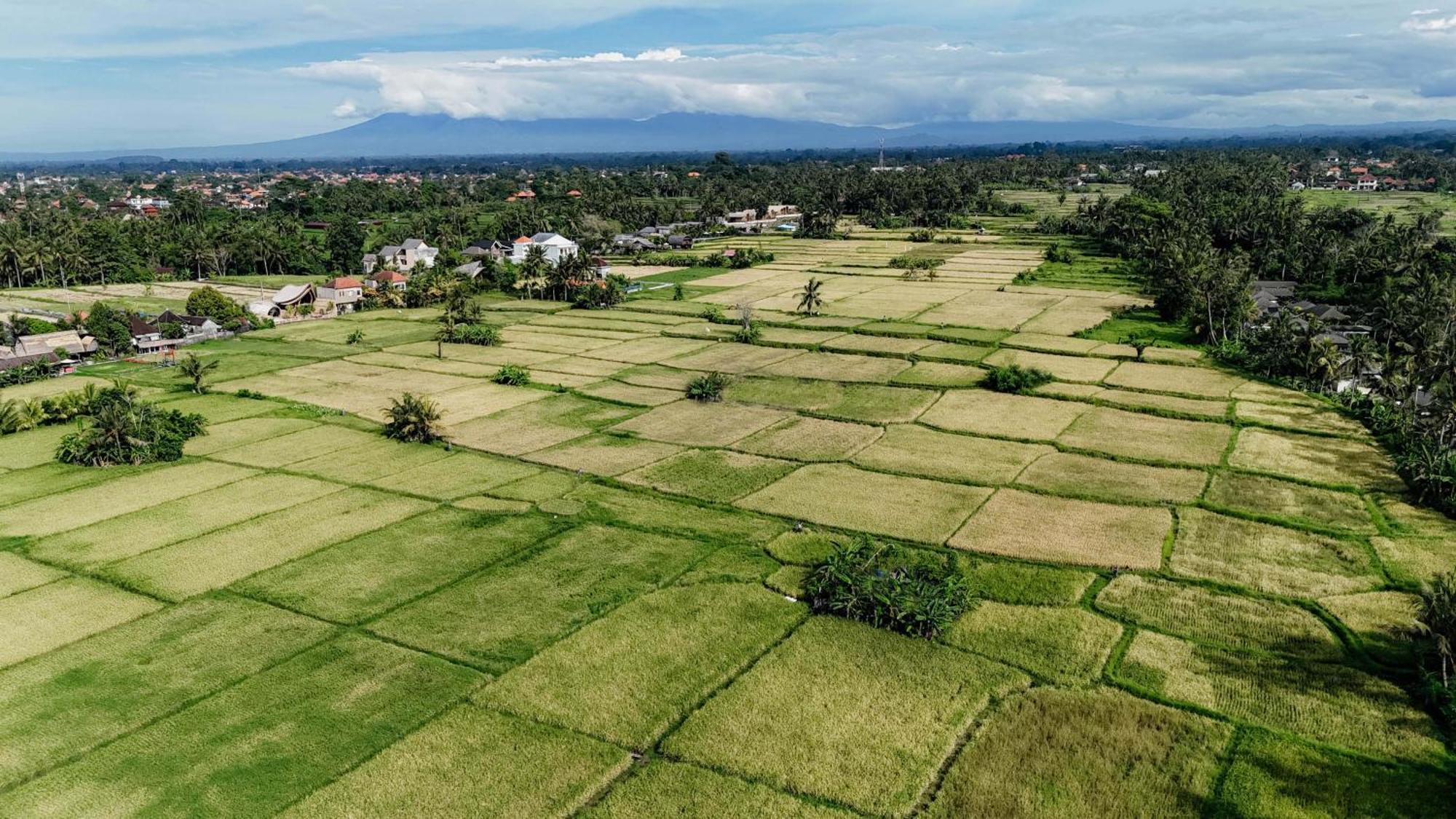 Weda Villas Ubud Exterior foto
